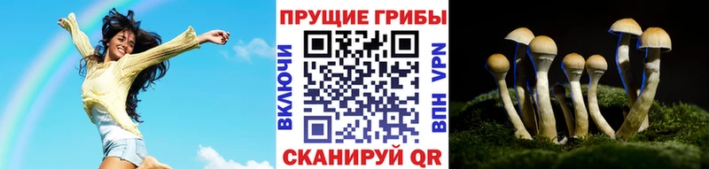 где найти наркотики  Ухта  Псилоцибиновые грибы Cubensis 